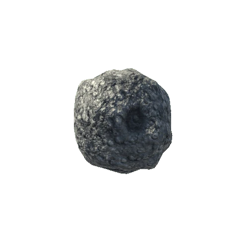 Asteroid 04